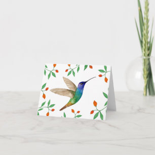 Tarjeta Colibrí Zafiro de Cola Dorada en Blanco