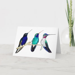 Tarjeta Colibríes