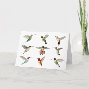 Tarjeta Colibríes de Norteamérica