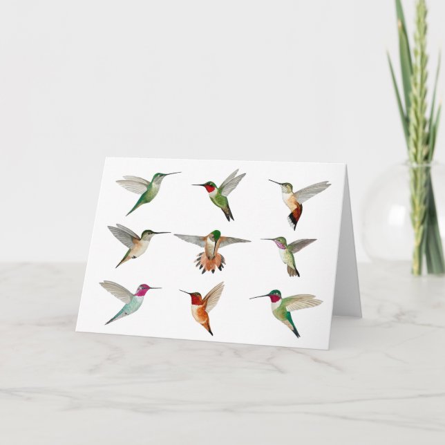 Tarjeta Colibríes de Norteamérica (Anverso)