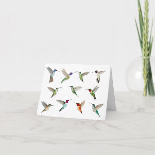 Tarjeta Colibríes de Norteamérica