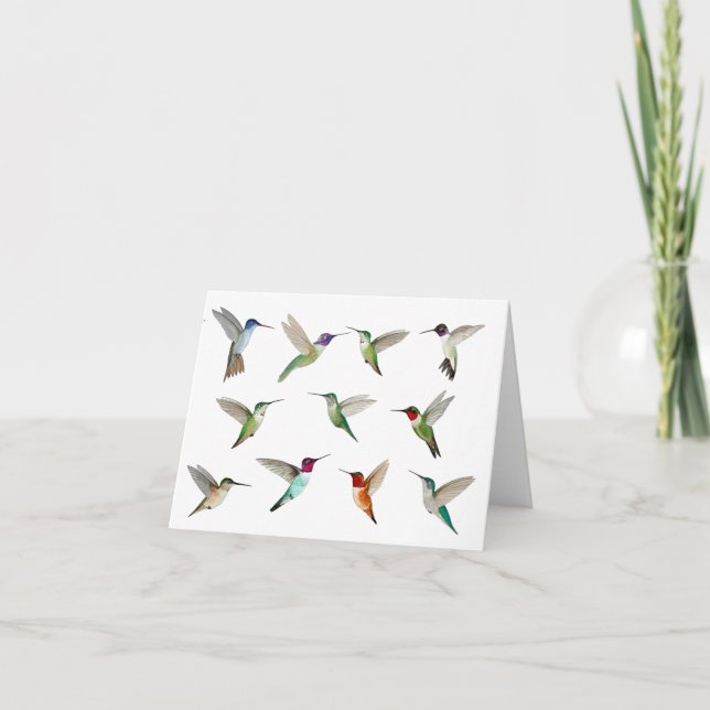 Tarjeta Colibríes de Norteamérica (Anverso)