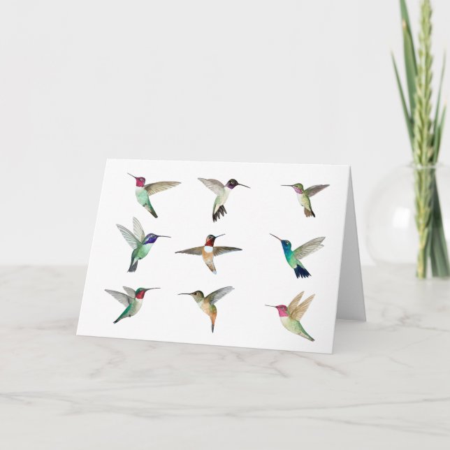 Tarjeta Colibríes de Norteamérica (Anverso)
