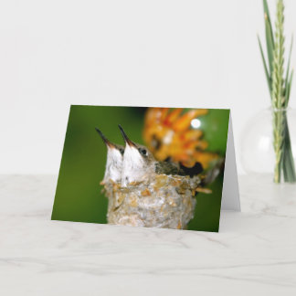 Tarjeta Colibríes del bebé
