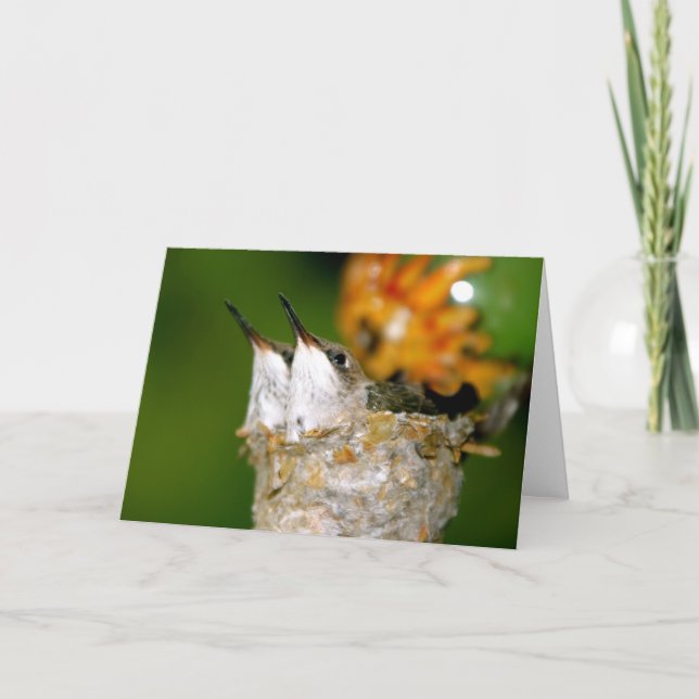 Tarjeta Colibríes del bebé (Anverso)