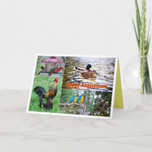Tarjeta Collage de Bird Pairs Feliz Aniversario