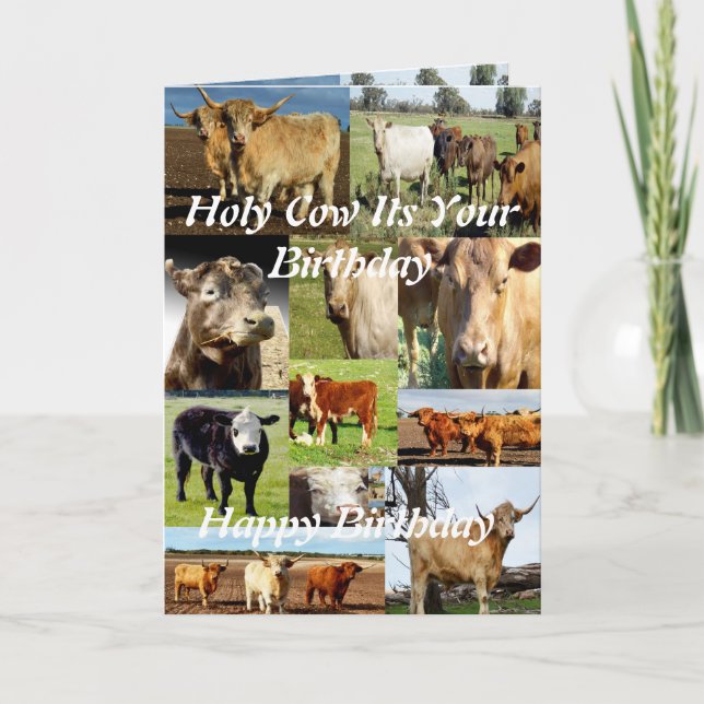 Tarjeta Collage de fotos bovino, cumpleaños (Anverso)