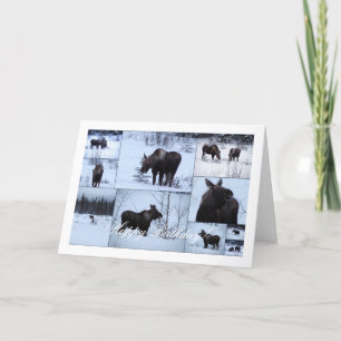 Tarjeta Collage de Moose; cumpleaños feliz