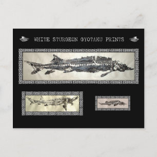 Tarjeta Collage White Sturgeon Gyotaku