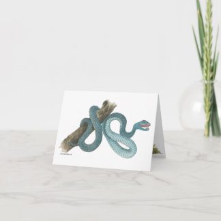 Tarjeta Collection Austrailian  snake Note Card