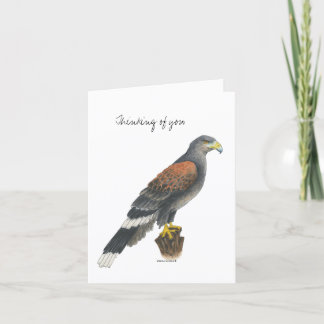 Tarjeta Collection Falcon  Note Card