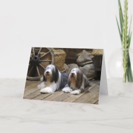 Tarjeta Collie con barba