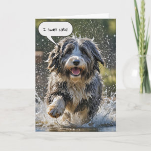 Tarjeta Collie con barba para el cumpleaños