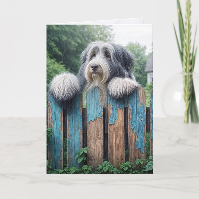 Tarjeta Collie con barba piensa en ti (Anverso)