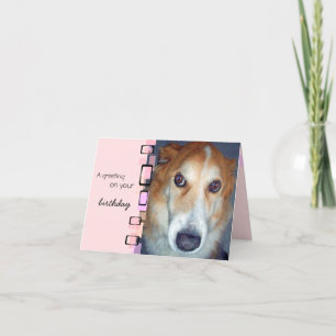 Tarjeta Collie de borde de saludo de cumpleaños