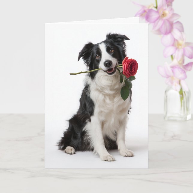 Tarjeta Collie de la frontera del día de San Valentín (Orquídea)