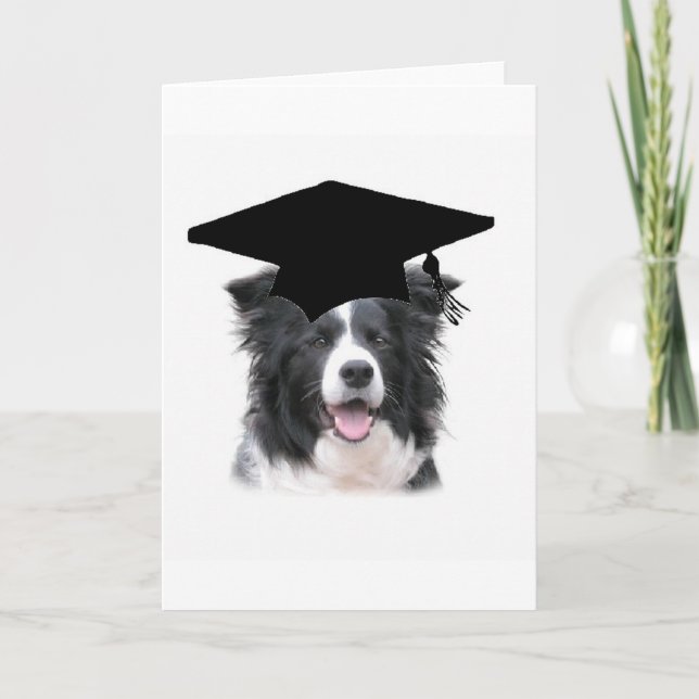 Tarjeta Collie Ditzy de Dogs~Original Notecard~Border (Anverso)