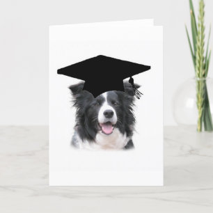 Tarjeta Collie Ditzy de Dogs~Original Notecard~Border
