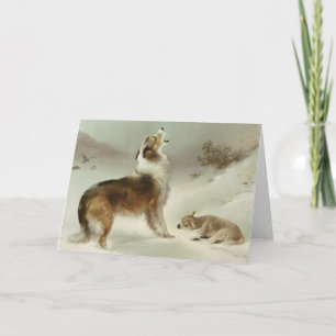 Tarjeta Collie und Schaf