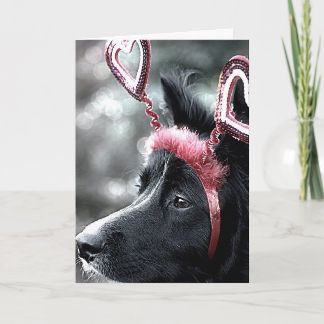 Tarjeta Collie Valentine de borde (Anverso)