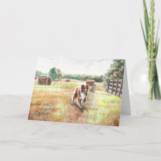 Tarjeta Collies de bordes - Perros de granja