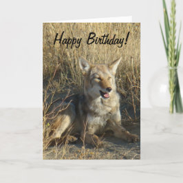 Tarjeta Colocación del coyote R18