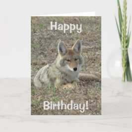 Tarjeta Colocación del coyote R22