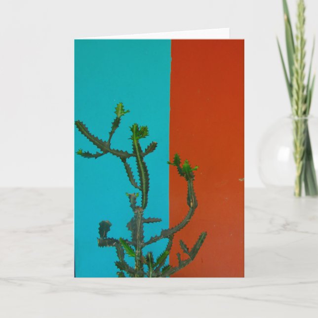 Tarjeta color cactus (Anverso)