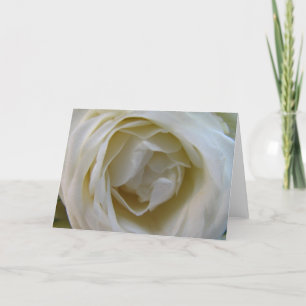 Tarjeta Color de rosa