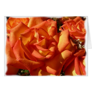 Tarjeta color de rosa anaranjada