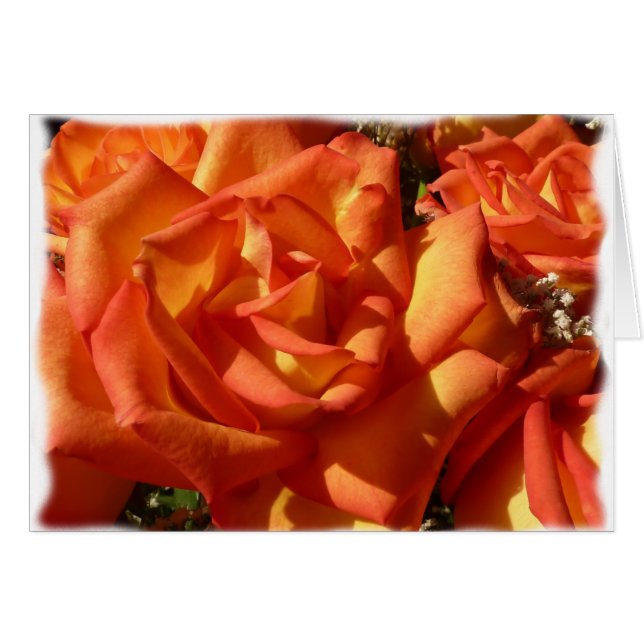Tarjeta color de rosa anaranjada (Anverso (Horizontal))