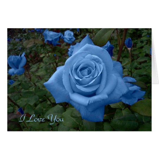 Tarjeta color de rosa azul