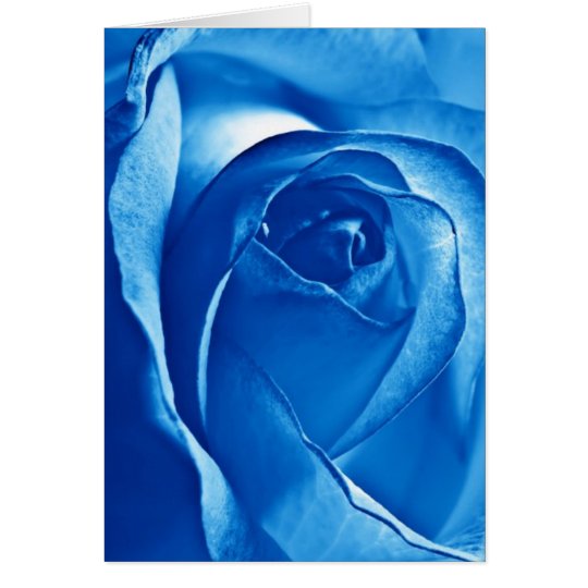 Tarjeta Color de rosa azul