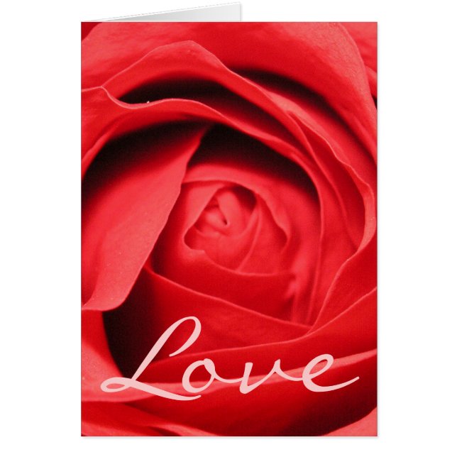 Tarjeta color de rosa del amor (Frente)