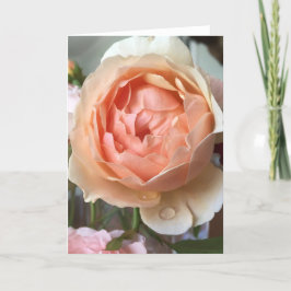 Tarjeta color de rosa del flor