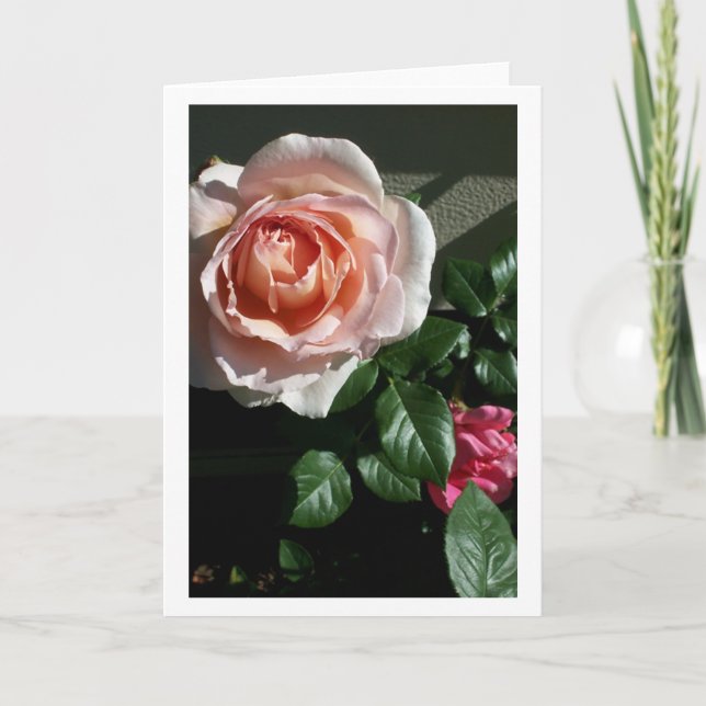 Tarjeta color de rosa en blanco #2 (Anverso)