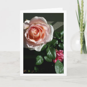 Tarjeta color de rosa en blanco #2