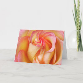 Tarjeta Color de rosa grandiflora