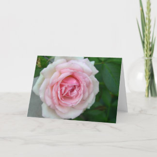 Tarjeta Color de rosa (rosa - > pendiente blanca)