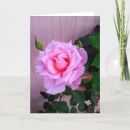 Tarjeta Color de rosa rosado