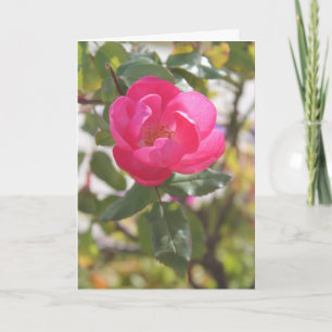 Tarjeta Color de rosa rosado - amistad especial
