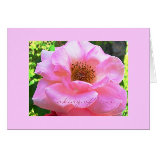 Tarjeta "color de rosa rosados"… El pensamiento en usted
