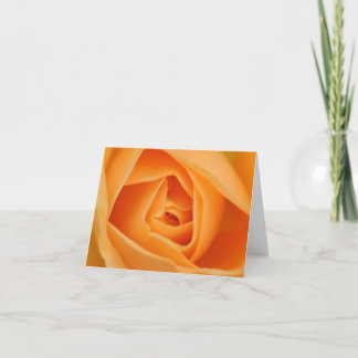 Tarjeta Color de rosa suave
