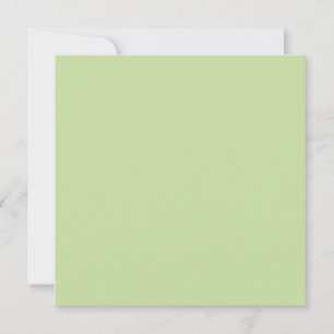 Tarjeta Color sólido verde manzana pastel