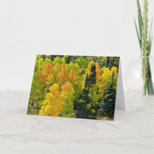 Tarjeta Colorado Aspen Grove