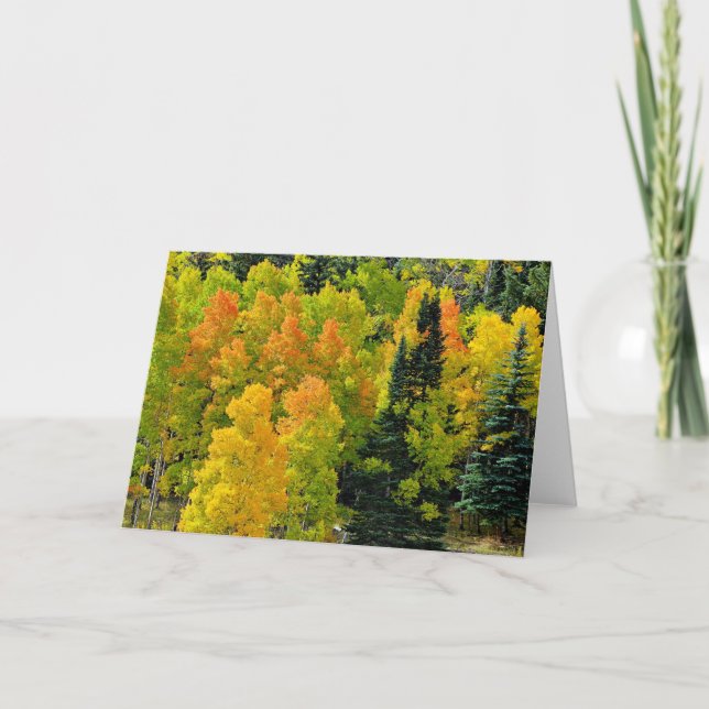 Tarjeta Colorado Aspen Grove (Anverso)