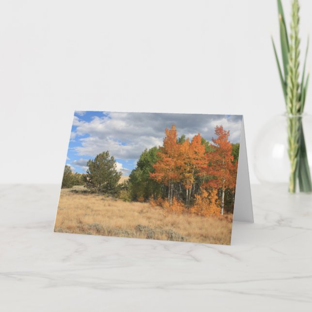 Tarjeta Colorado Autumn Aspen Trees toda ocasión (Anverso)