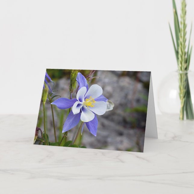 Tarjeta Colorado Columbine (Anverso)