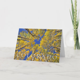 Tarjeta Colorado Otoño   Bosque de Aspen   Feliz Cumpleaño