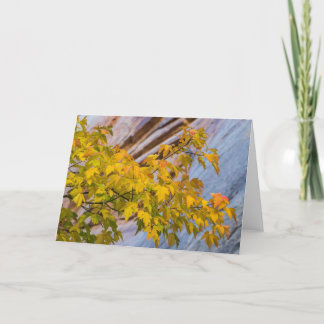 Tarjeta Colores de la caída